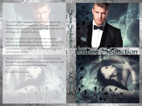 stone seduction cover